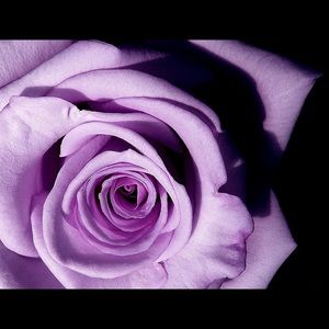 Meet your Posher, Luz